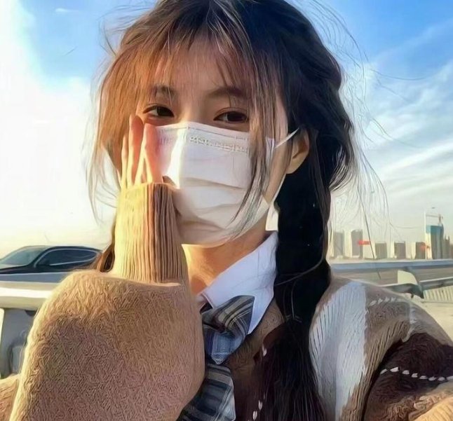 隐龙之护妻高手