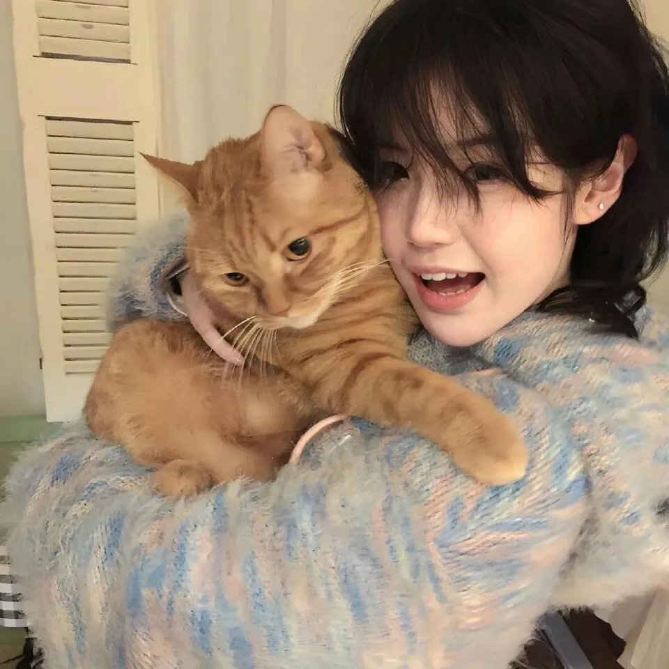 魔法老师第二季